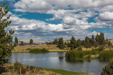 Fototapeta na wymiar Huayllarqocha wetland Cuzco Peru