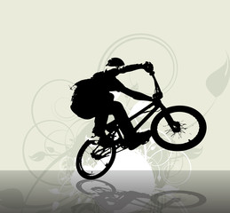 Obraz na płótnie Canvas BMX cyclist. Vector