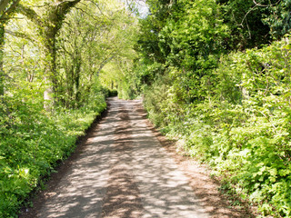 Obraz premium Country Lane