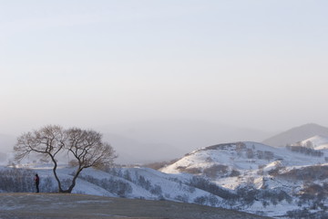 The image of landscape