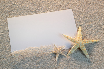 Empty white card with starfishes and shells on sea sand