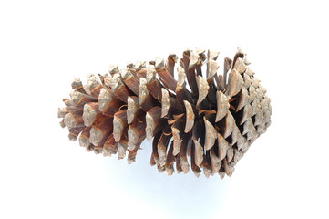 Cone on white
