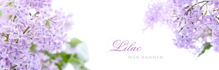 Lilac flowers - obrazy, fototapety, plakaty