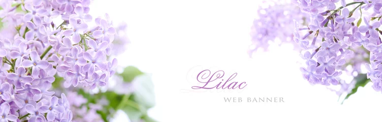 Gordijnen Lila bloemen © bluebat