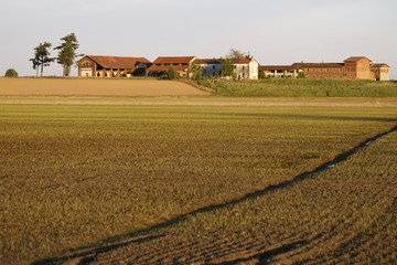 Obraz premium Campagna