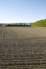 Terreno agricolo