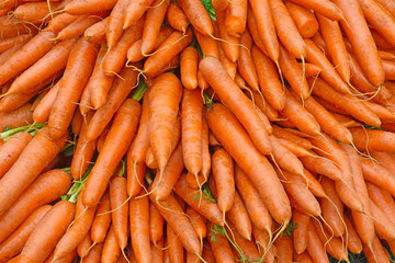 carrots1705a