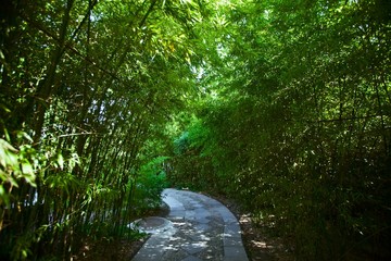 The image of landscape