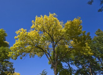 The image of landscape