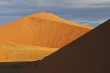 Plakat Sanddüne nahe der Düne 45 im Namib-Naukluft-Park
