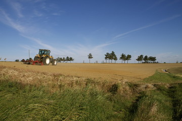 Fototapeta premium Terreno agricolo