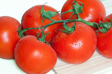 Tomates en grappe sur fond blanc