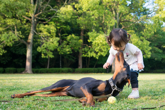 犬と少女 Photos Royalty Free Images Graphics Vectors Videos Adobe Stock 犬と少女 Photos Royalty Free Images Graphics Vectors Videos Adobe Stock