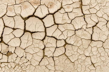 Soil cracks