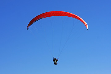 paraglider