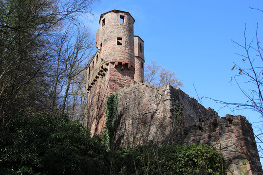 The castle ruins Schadeck