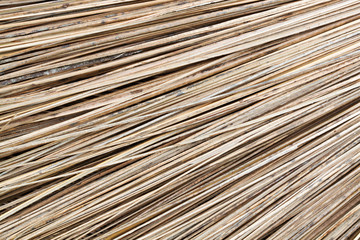 unuaual abstract background of dried plant stick