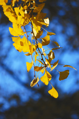 The image of beautiful nature in Asia