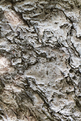 grunge, unusual, weathered stone background texture