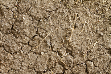 dryland or wasteland background, concept of global warming