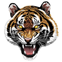 The Tiger Roar