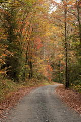 Fall Gravel Road