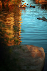 The image of beautiful nature in Asia