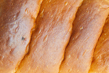 bread crust texture