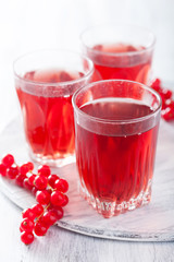 redrurrant juice and berry