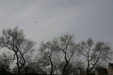 The image of beautiful nature in Asia