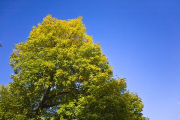 Fototapeta premium The image of beautiful nature