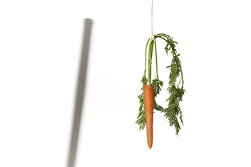 Double motivation with carrot and stick © luisrsphoto