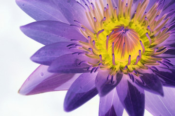 The image of beautiful nature in Asia