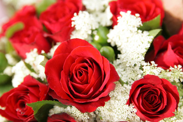 The image of beautiful nature in Asia