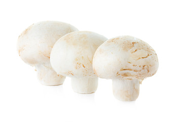 Fototapeta na wymiar mushrooms champignons isolated