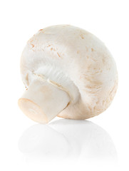 mushroom hampignon isolated
