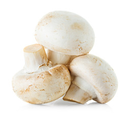 mushrooms champignons isolated