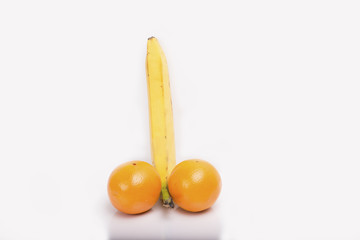 Model copy of the male reproductive system (banana & oranges)
