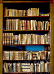 Books in the Library