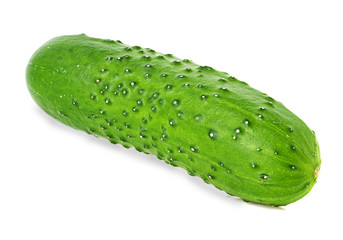Cucumber isolated