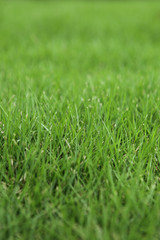 The image of beautiful scenery