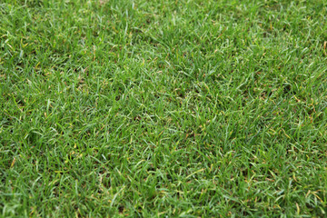 The image of beautiful scenery