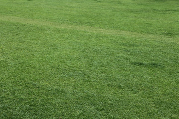 The image of beautiful scenery