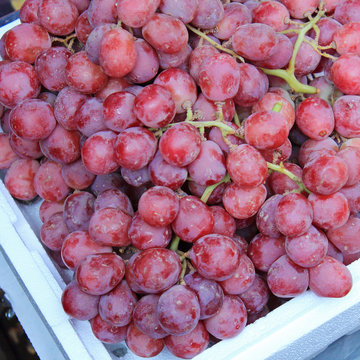 Seedless Red Grapes