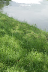The image of beautiful scenery