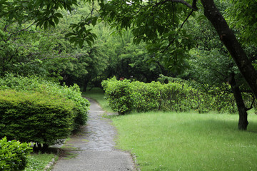 The image of beautiful scenery