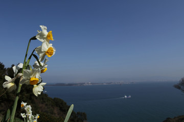 The image of beautiful nature