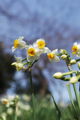 The image of beautiful nature