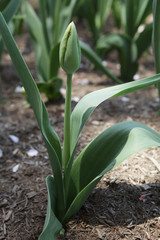 Obraz premium The image of beautiful nature