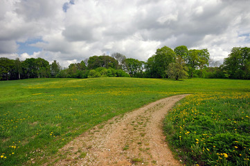Fototapeta na wymiar Spring summer background - rural road in green grass field